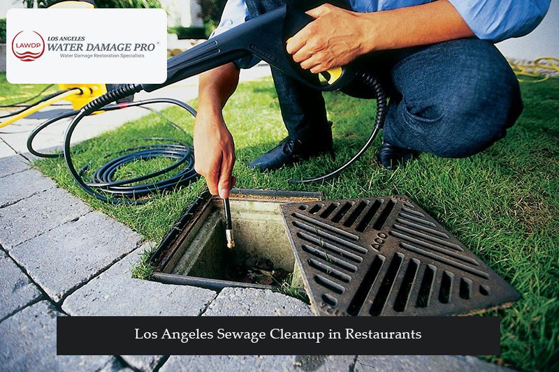 Los Angeles Sewage Cleanup in Restaurants