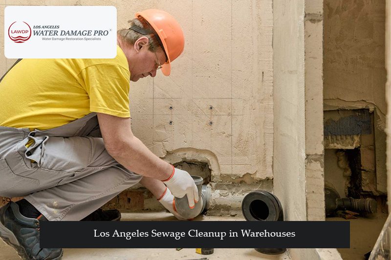 Los Angeles Sewage Cleanup in Warehouses