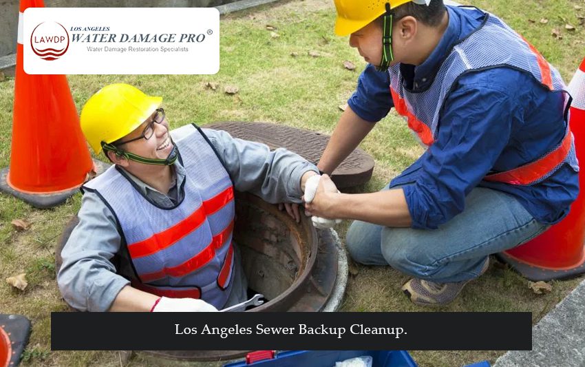 Los Angeles Sewer Backup Cleanup.