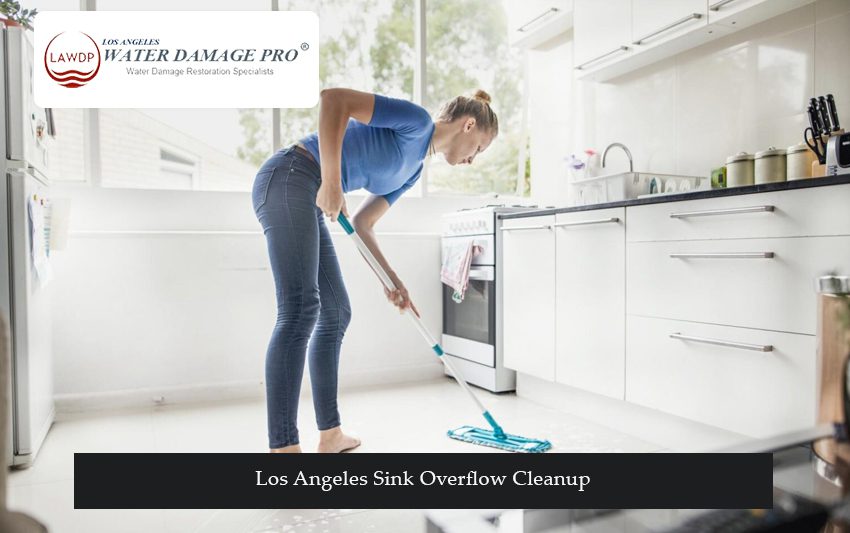 Los Angeles Sink Overflow Cleanup