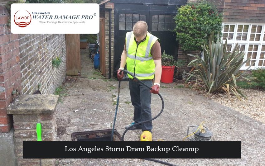 Los Angeles Storm Drain Backup Cleanup