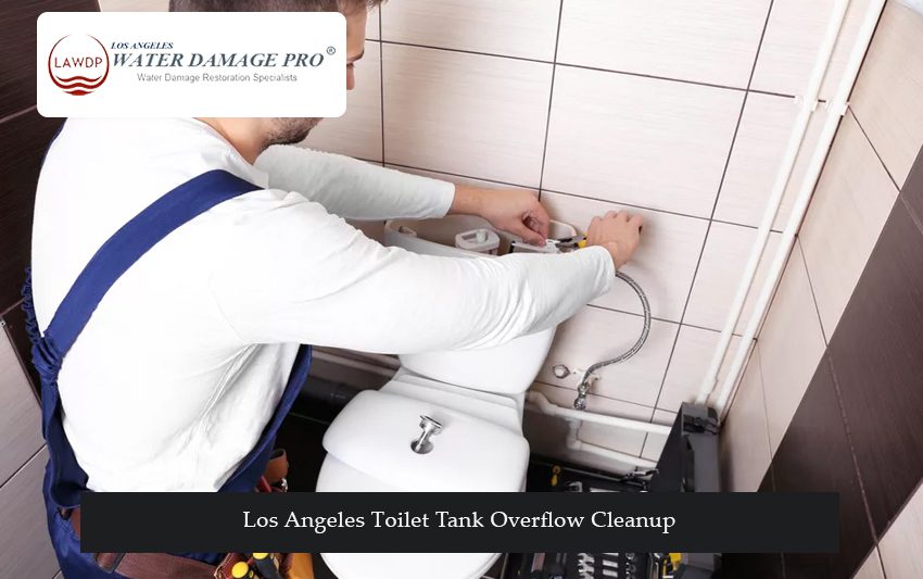 Los Angeles Toilet Tank Overflow Cleanup