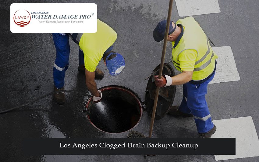 Los Angeles Clogged Drain Backup Cleanup