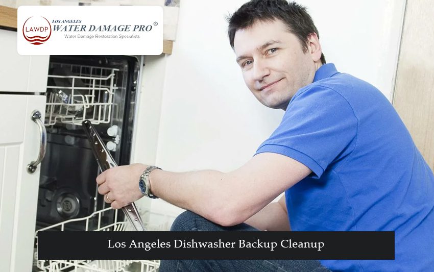 Los Angeles Dishwasher Backup Cleanup