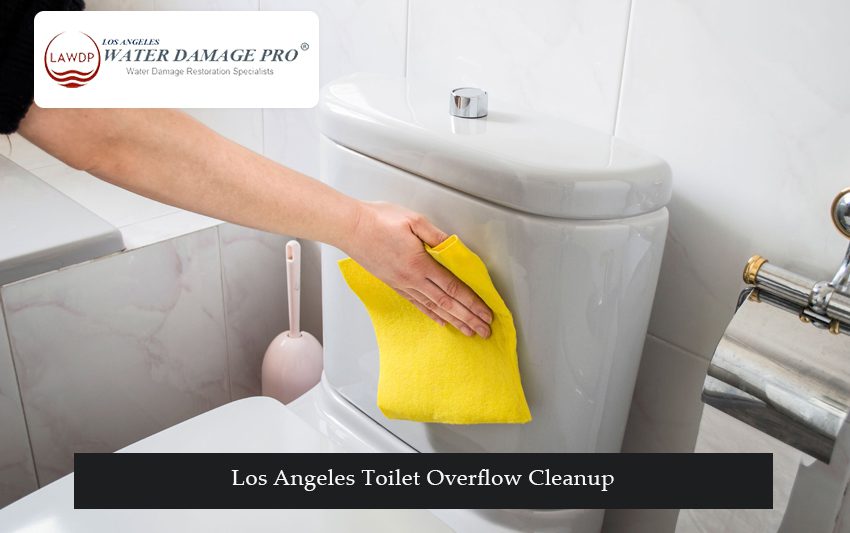 Los Angeles Toilet Overflow Cleanup