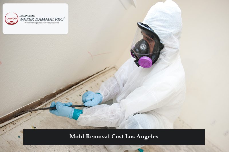 Mold Removal Cost Los Angeles