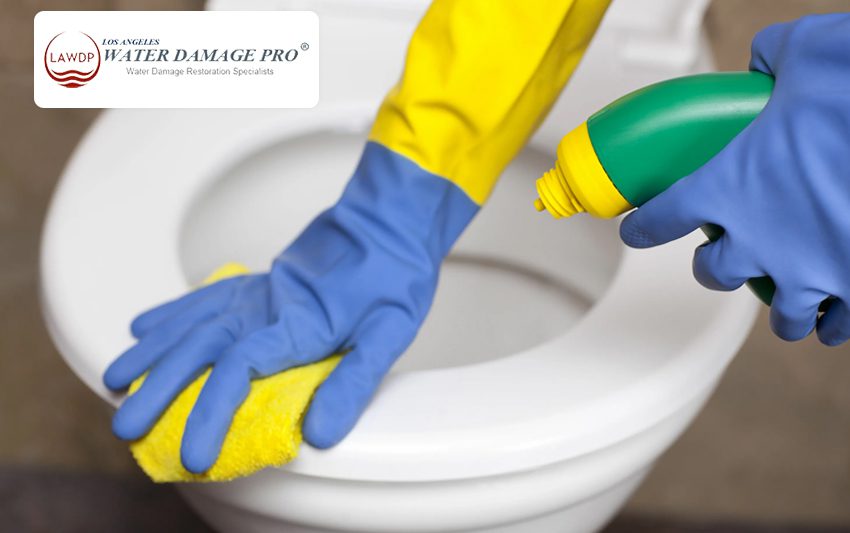 Toilet Overflow Cleanup Insurance Claims
