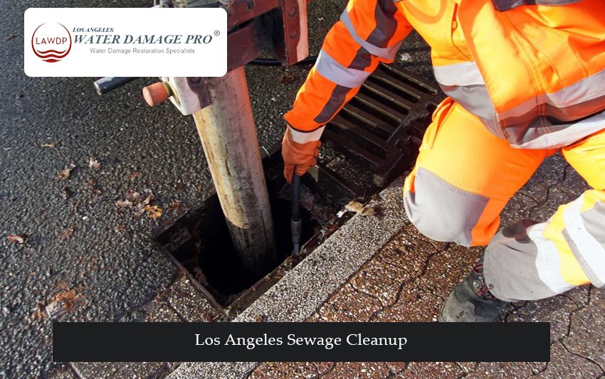 Los Angeles Sewage Cleanup