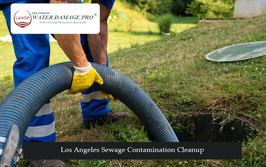 Los Angeles Sewage Contamination Cleanup