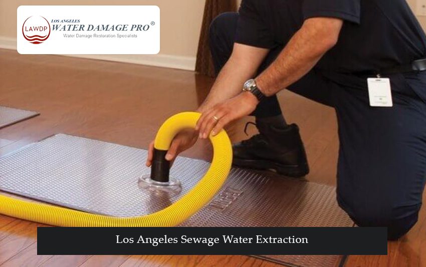 Los Angeles Sewage Water Extraction