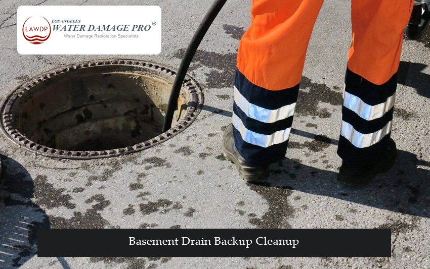 Basement Drain Backup Cleanup