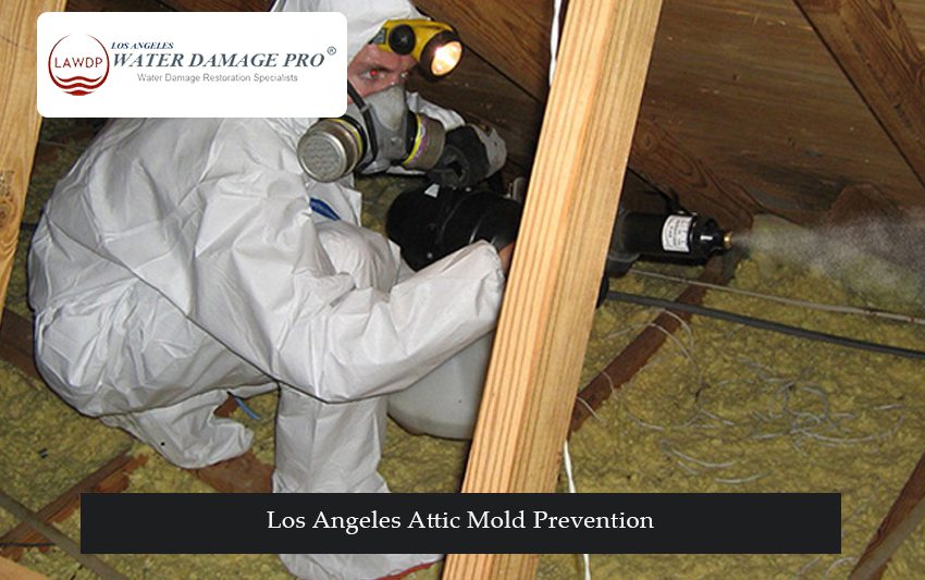 Los Angeles Attic Mold Prevention