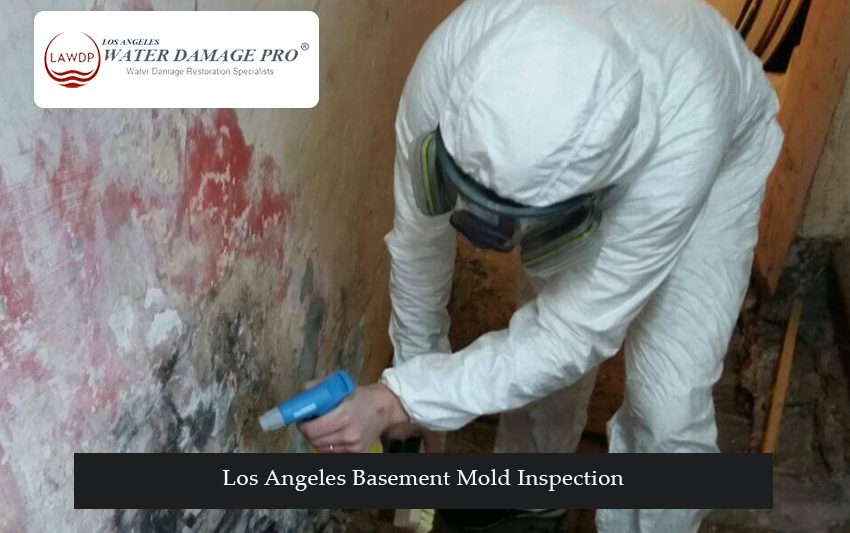 Los Angeles Basement Mold Inspection