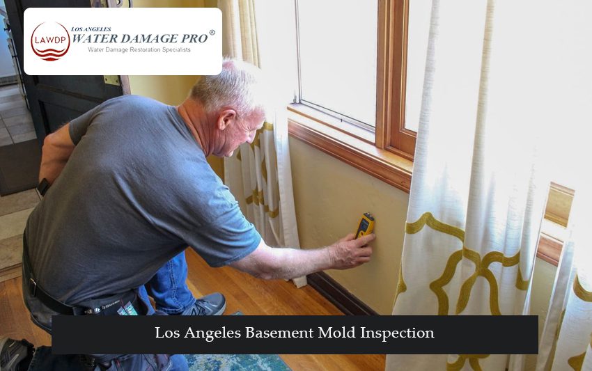 Los Angeles Basement Mold Inspection