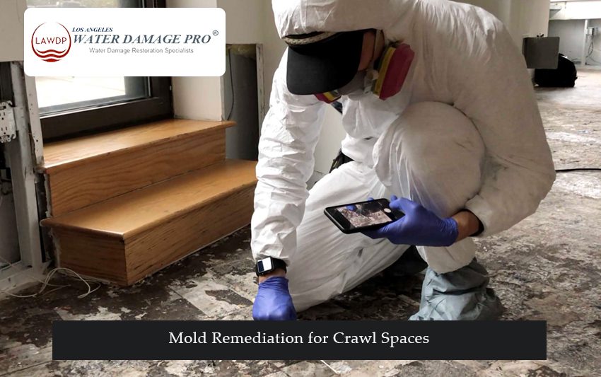 Mold Remediation for Crawl Spaces