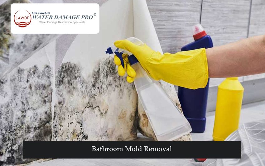 Bathroom Mold Removal