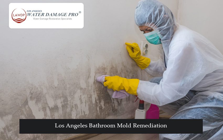 Los Angeles Bathroom Mold Remediation