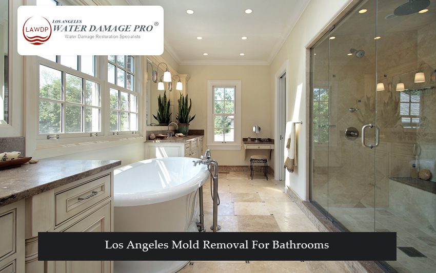 Los Angeles Mold Removal For Bathrooms