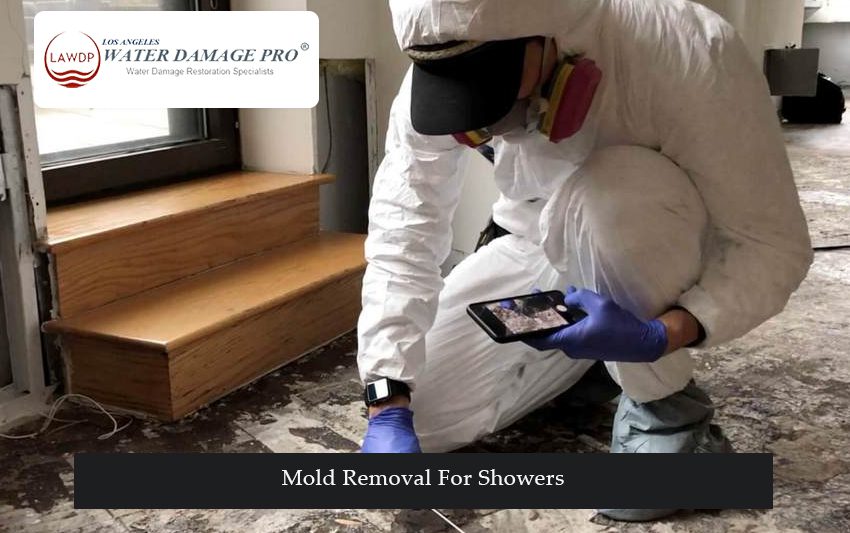 Mold Removal For Showers