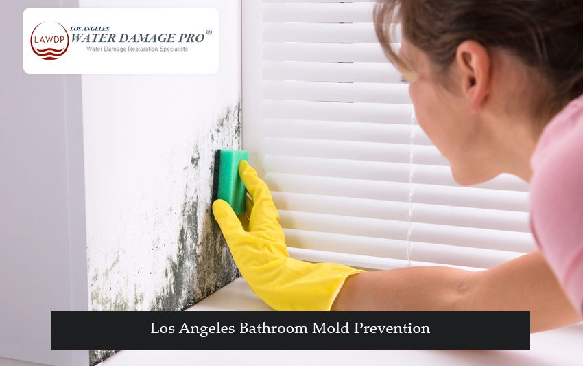 Los Angeles Bathroom Mold Prevention